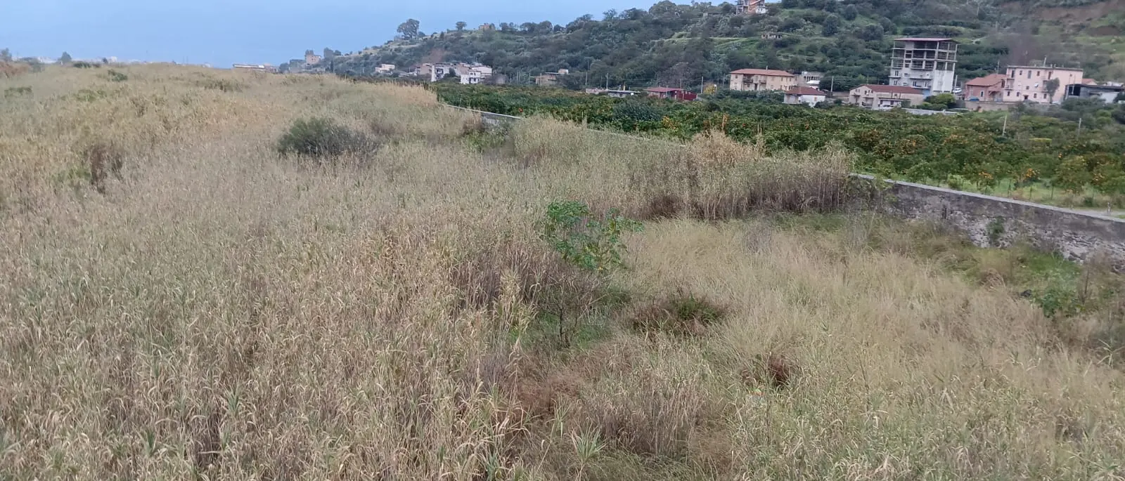 Villa San Giuseppe, Chirico accende i riflettori su degrado e rischio frane: «Fiumara del Gallico bomba ad orologeria»\n