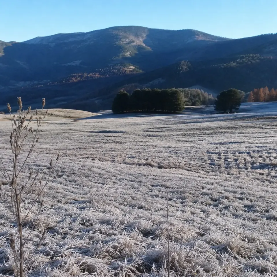 Torna il gelo in Calabria (a maggio): nella notte temperature fino a -3 gradi in Sila\n