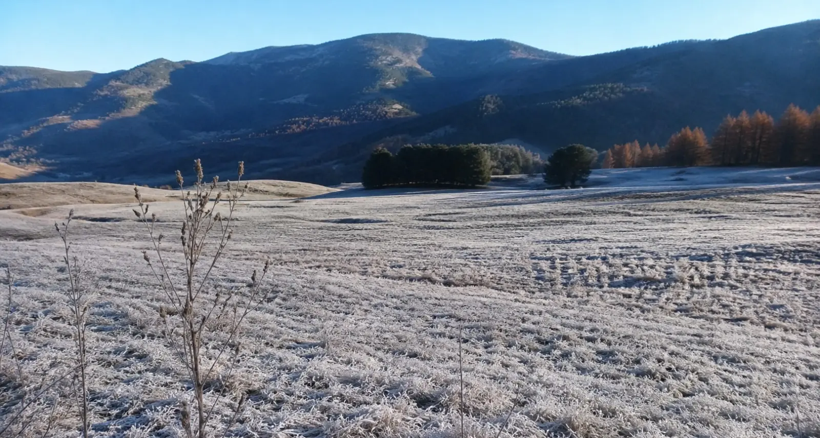 Freddo fuori stagione in Calabria: gelo notturno con picchi fino a -3°C in Sila\n