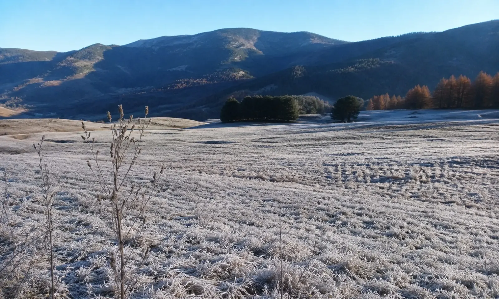 Freddo fuori stagione in Calabria: gelo notturno con picchi fino a -3°C in Sila\n