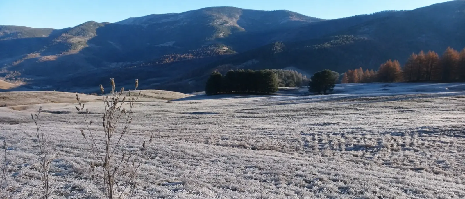 Freddo fuori stagione in Calabria: gelo notturno con picchi fino a -3°C in Sila\n