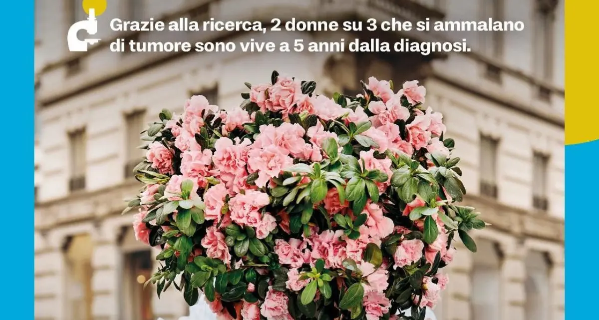 AIRC, l’Azalea della Ricerca torna il 10 maggio anche a Rogliano\n