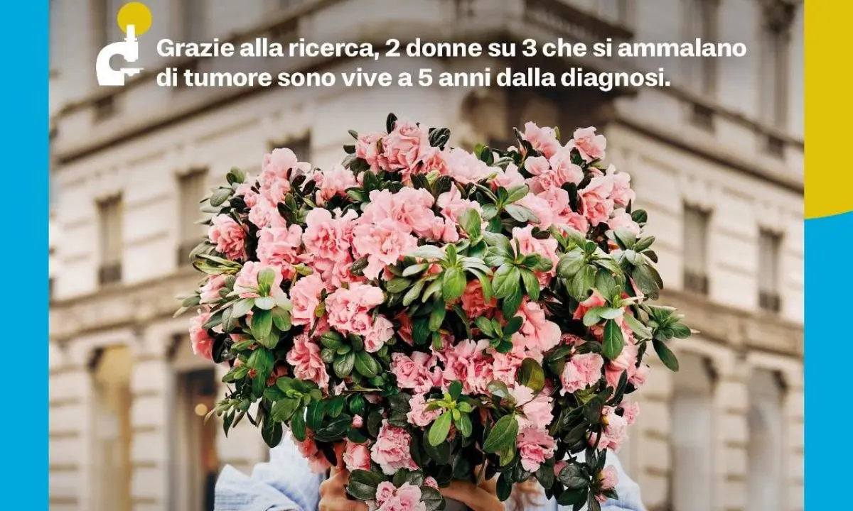 AIRC, l’Azalea della Ricerca torna il 10 maggio anche a Rogliano\n