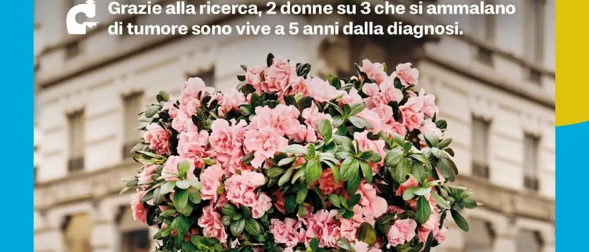 AIRC, l’Azalea della Ricerca torna il 10 maggio anche a Rogliano\n