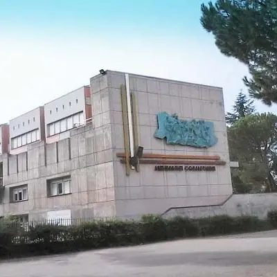 Festival Frontiere, a Rende un seminario su Mediterraneo e naufraghi\n
