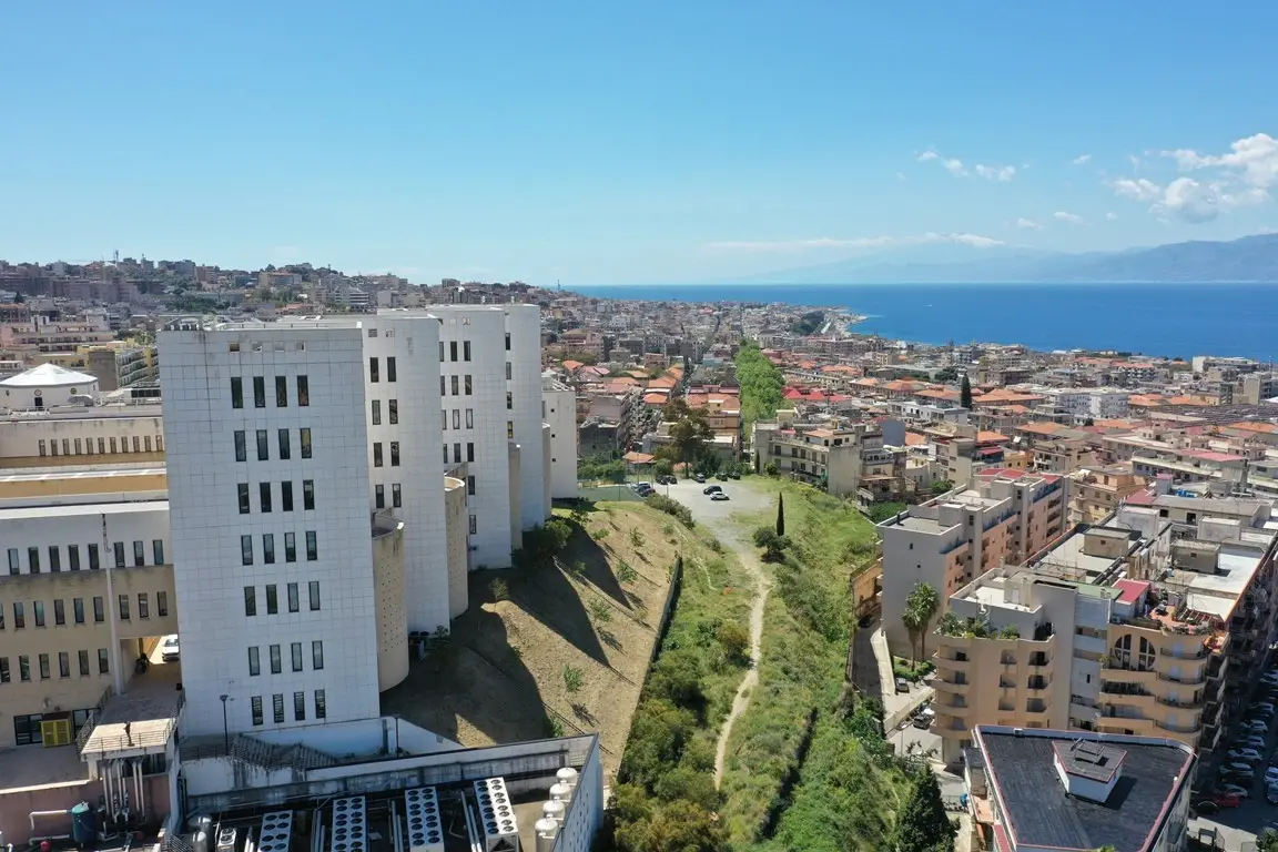 L’Università Mediterranea approva il bilancio 2025 con un utile di 6,5 milioni\n