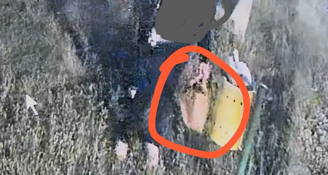 Rifiuti abbandonati nel parco giochi di Caulonia Marina: due persone identificate e sanzionate grazie alla videosorveglianza\n