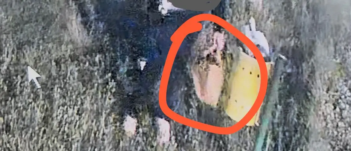Rifiuti abbandonati nel parco giochi di Caulonia Marina: due persone identificate e sanzionate grazie alla videosorveglianza\n