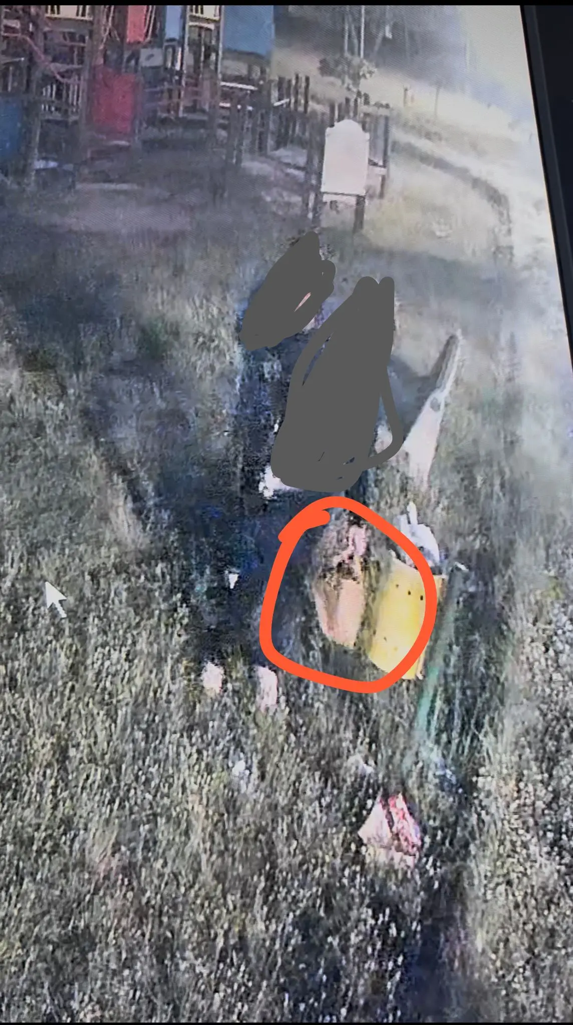 Rifiuti abbandonati nel parco giochi di Caulonia Marina: due persone identificate e sanzionate grazie alla videosorveglianza\n