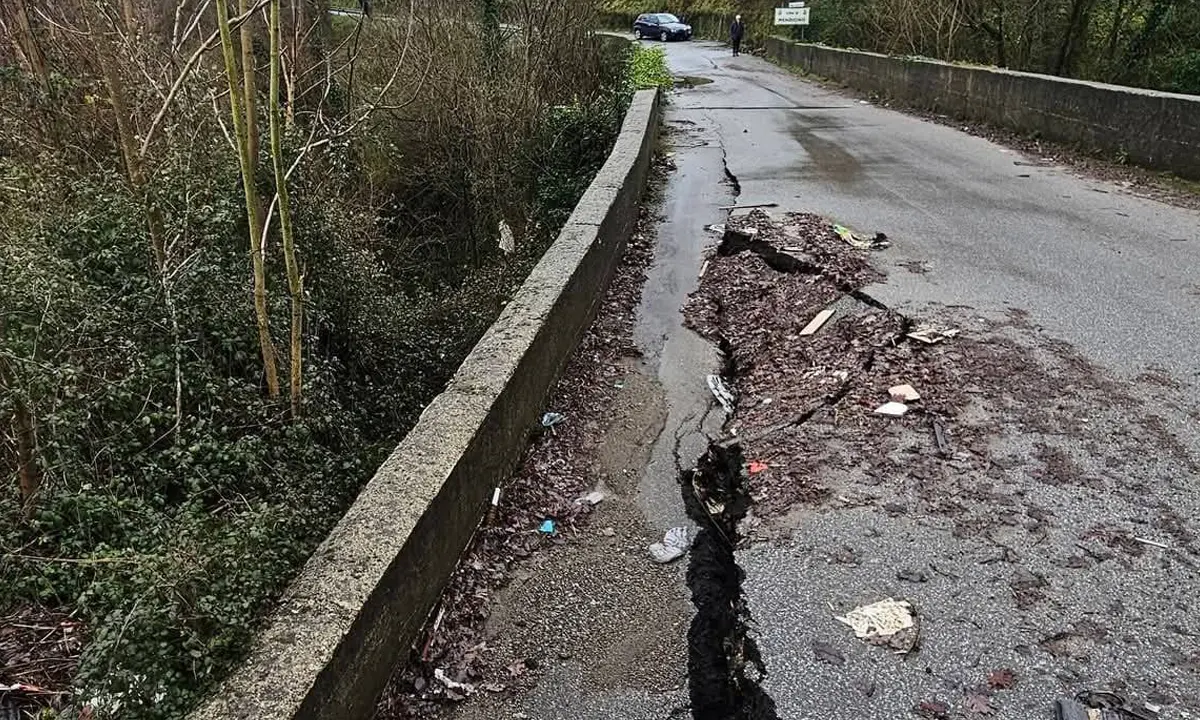 Crollo sulla SP\u00A081, sollecitati interventi urgenti per la viabilità di Mendicino, Cerisano, Castrolibero e Marano