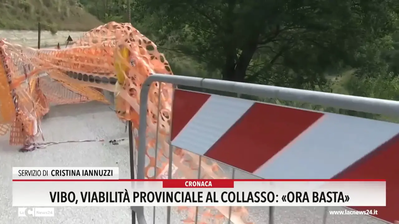 Vibo, viabilità provinciale al collasso: «Ora basta»