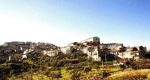 Ricorso TRC Servizi, il Comune replica: «Nessuna responsabilità di amministratori o uffici»\n