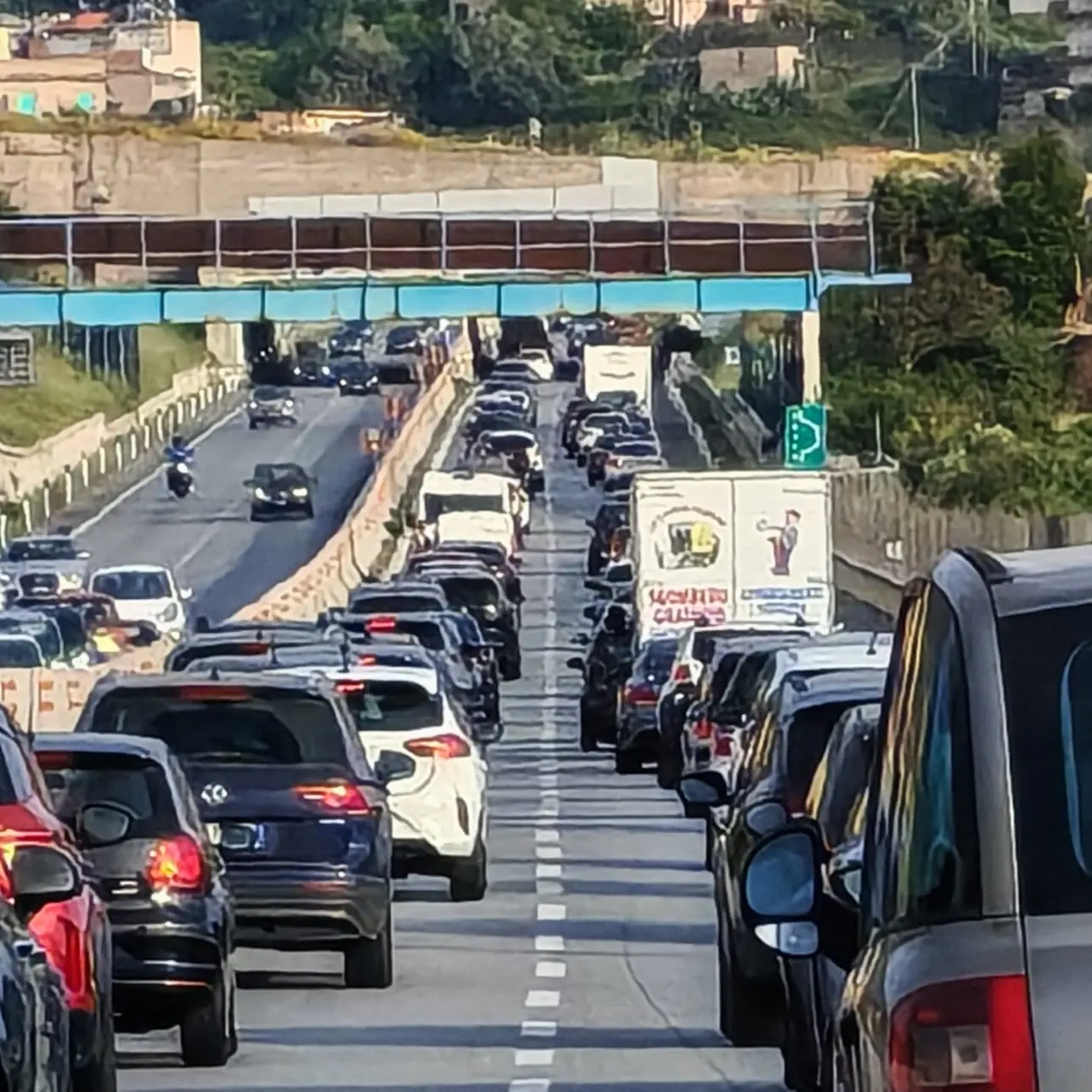 Code sulla A2,\u00A0Minasi (Lega) interpella ANAS: «In programma lavori necessari per la messa in sicurezza del viadotto Torbido»\n