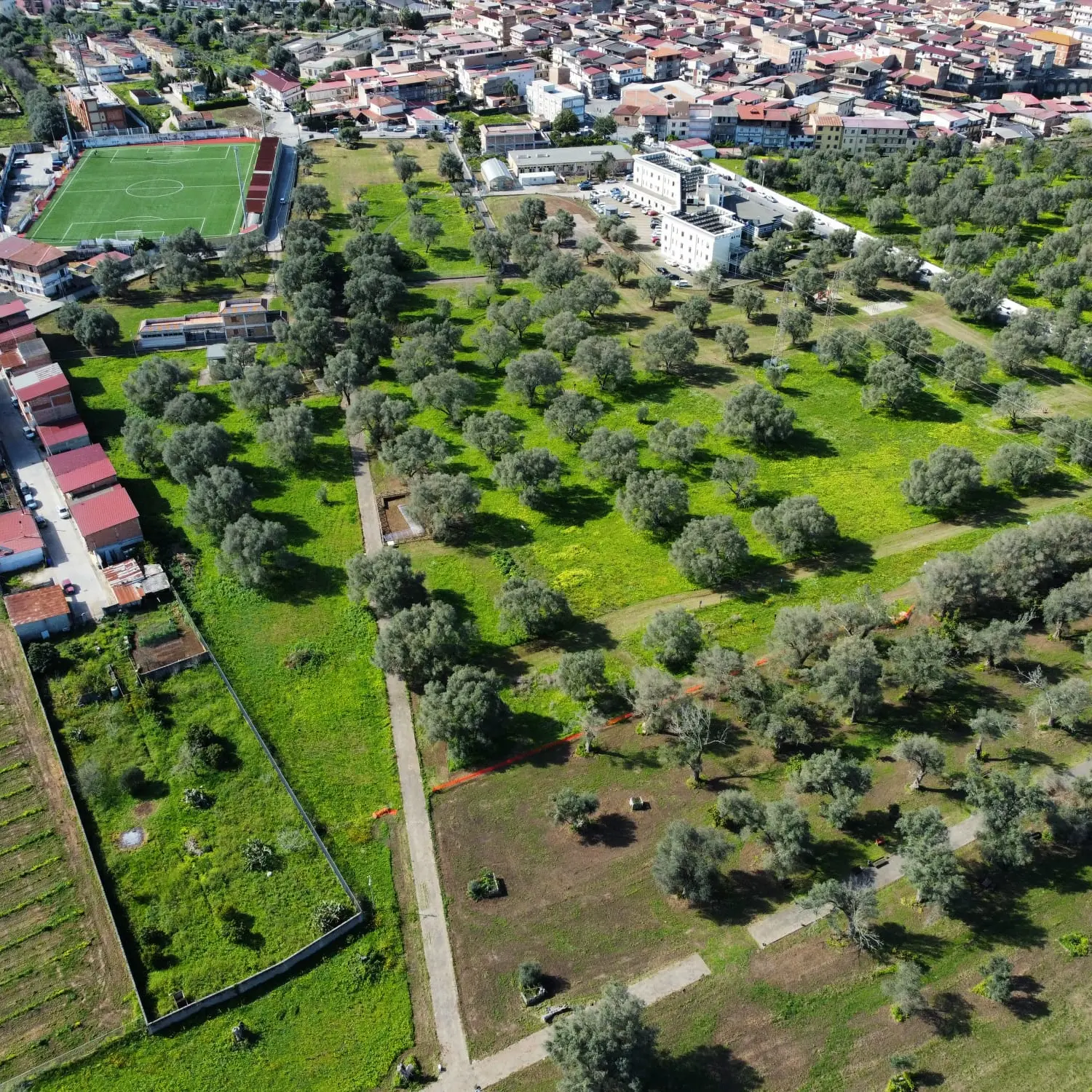 Museo e Parco archeologico dell’Antica Medma-Rosarno, firmata a Palazzo Alvaro la convenzione per la gestione e la valorizzazione del sito\n