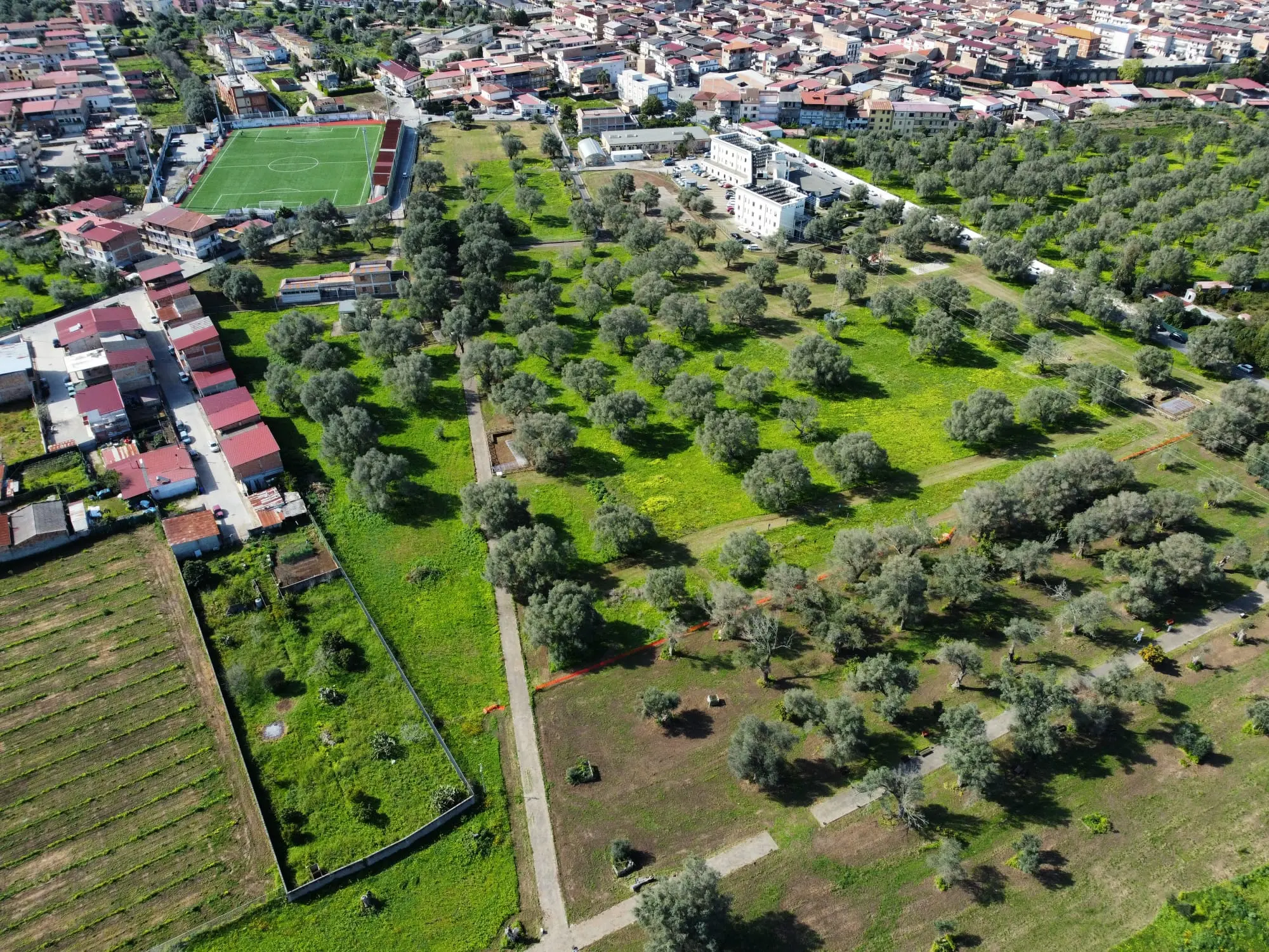 Museo e Parco archeologico dell’Antica Medma-Rosarno, firmata a Palazzo Alvaro la convenzione per la gestione e la valorizzazione del sito\n