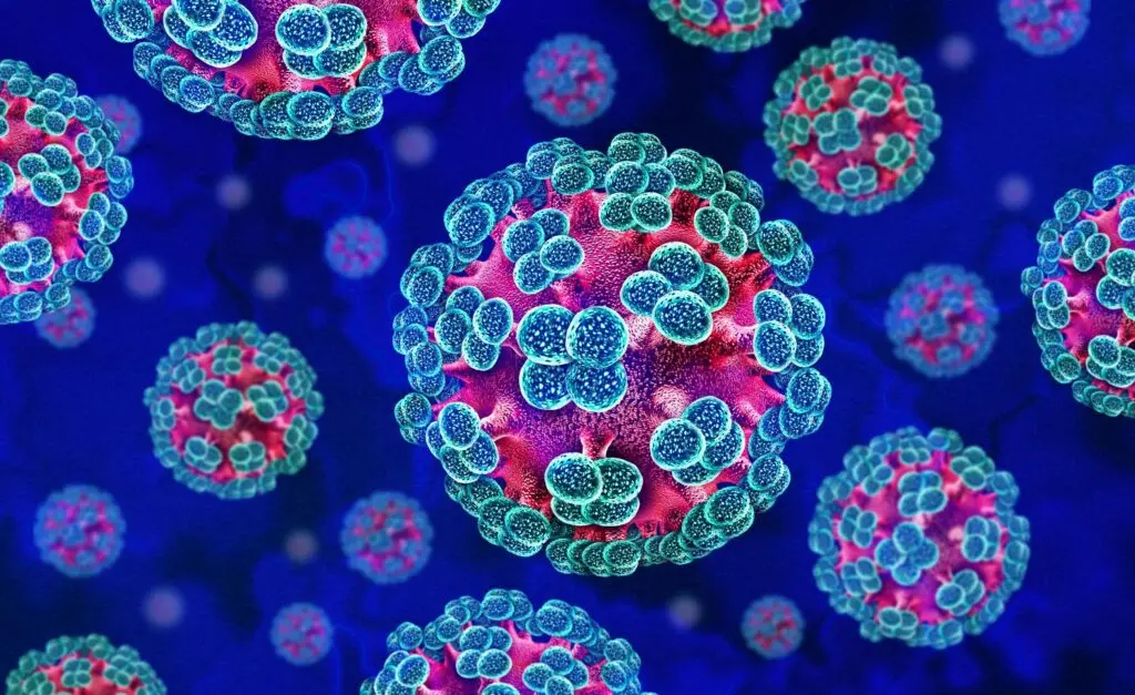 Hantavirus, il ministero della Salute allerta gli uffici di frontiera\n