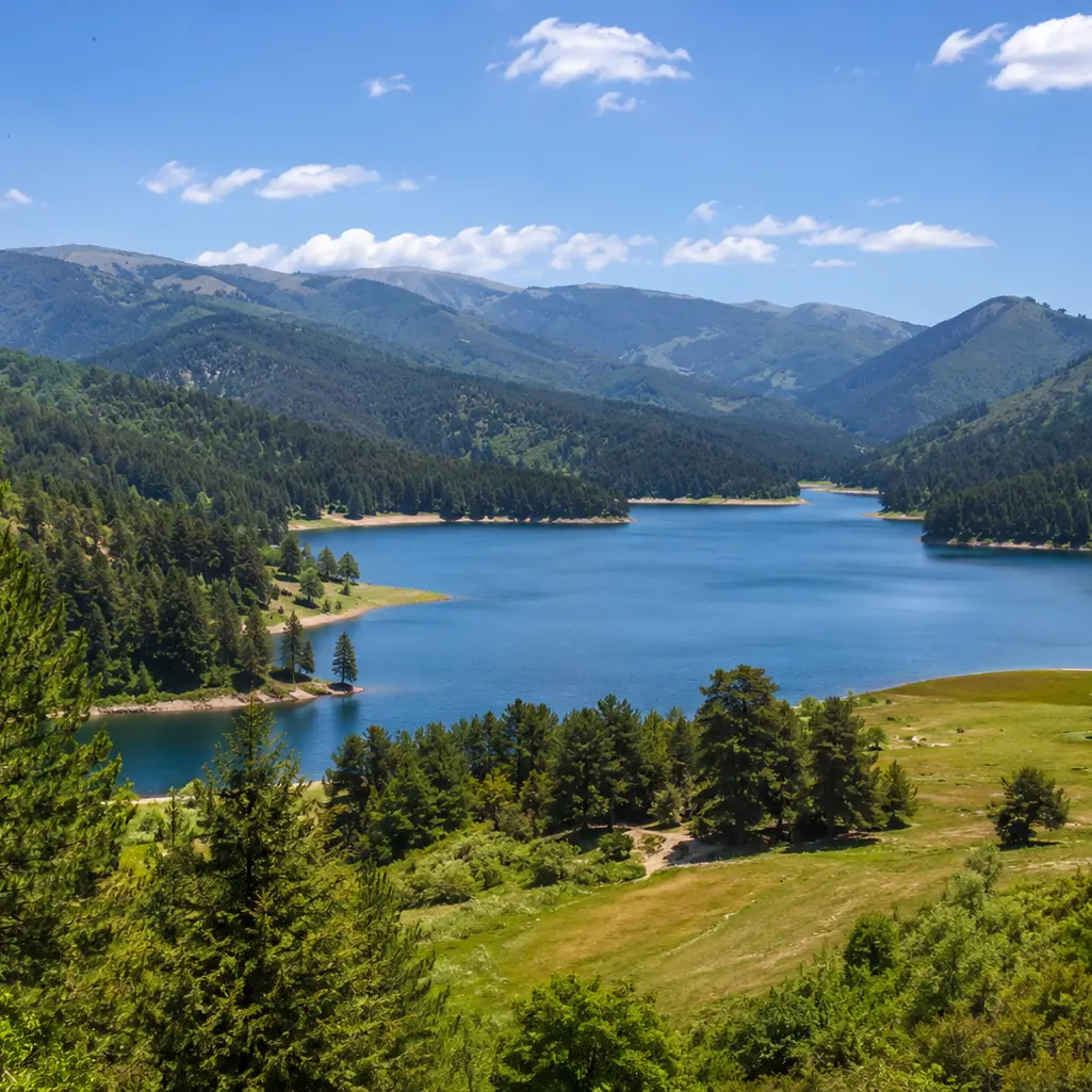 <p>Ambiente, missione scientifica europea in Sila: focus su biodiversità e clima</p>