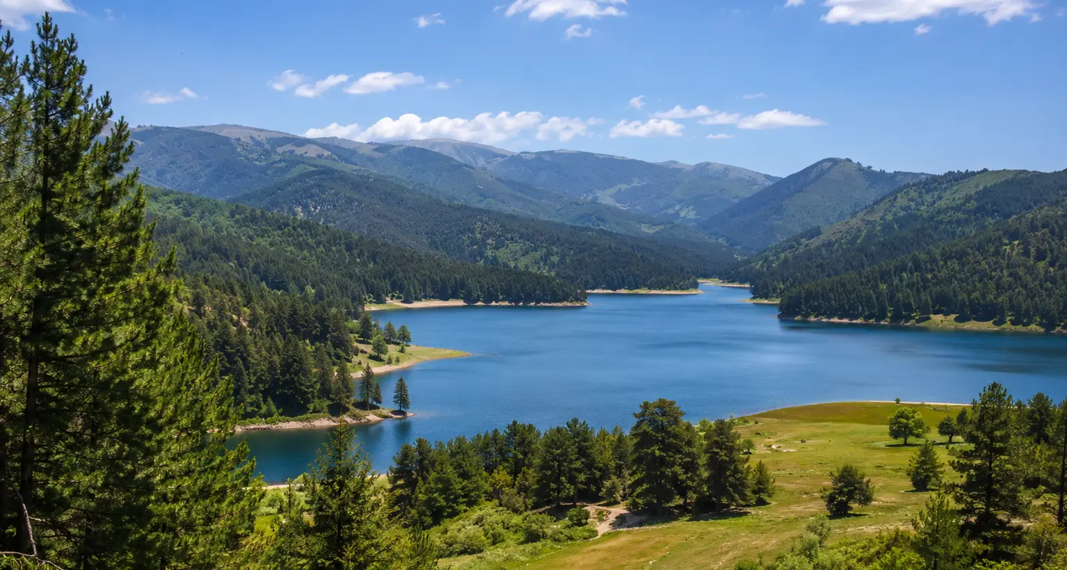 Ambiente, missione scientifica europea in Sila: focus su biodiversità e clima\n