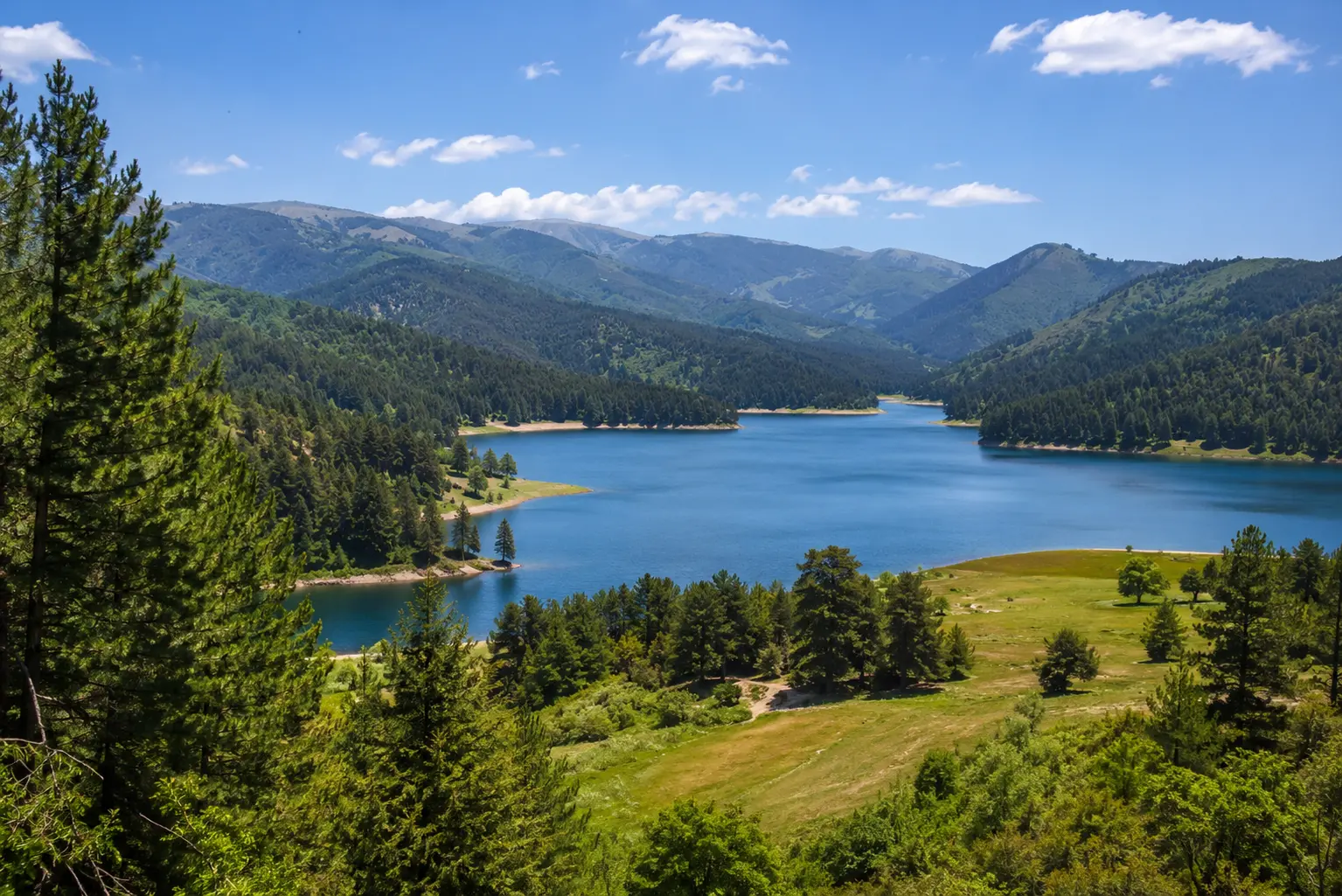 Ambiente, missione scientifica europea in Sila: focus su biodiversità e clima\n