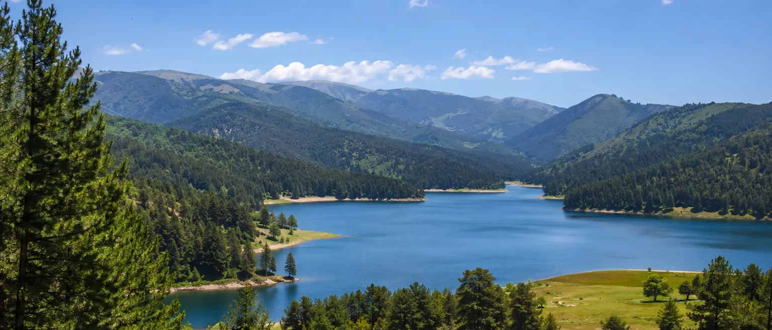 Ambiente, missione scientifica europea in Sila: focus su biodiversità e clima\n