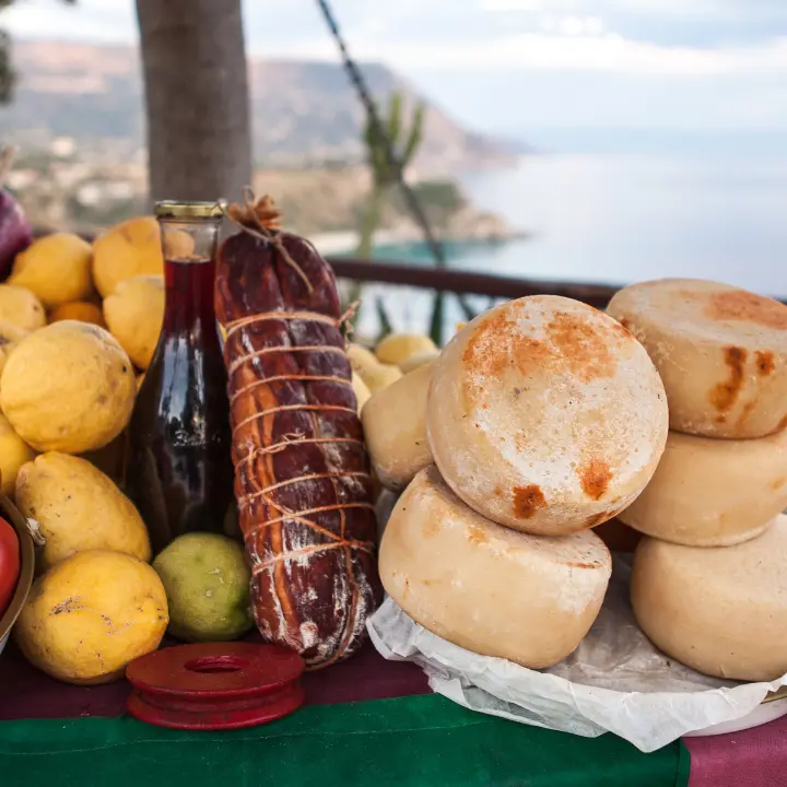 Vibo, Petracca (Pd) rilancia l’idea di\u00A0un polo universitario dedicato a turismo ed enogastronomia: «Occasione di sviluppo»\n