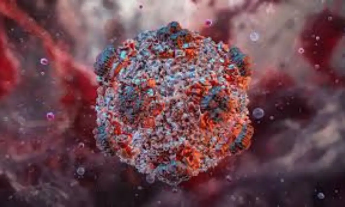 Hantavirus tra volo KLM e crociera, ma l’Oms frena: «Nessuna epidemia»\n