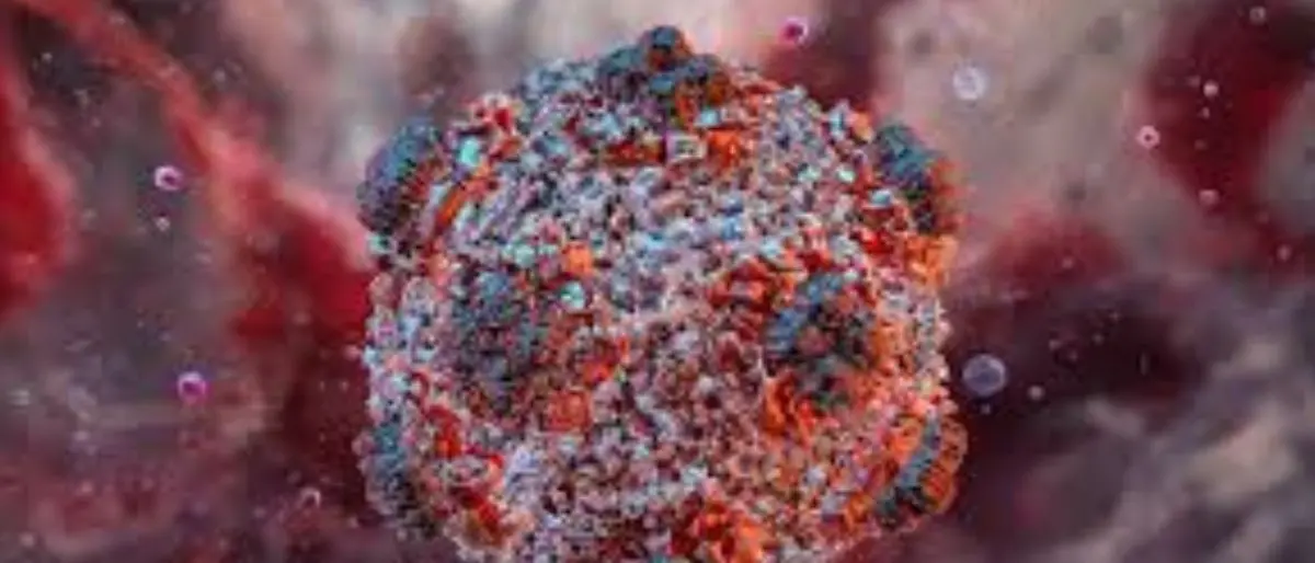 Hantavirus tra volo KLM e crociera, ma l’Oms frena: «Nessuna epidemia»\n