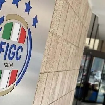 Il tribunale federale Figc respinge l’istanza cautelare della Reggina\n