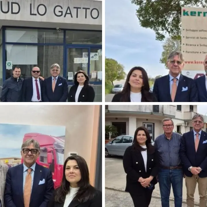 Raid nell’area industriale di Vibo, il presidente della Camera di commercio visita le aziende colpite: «Non siete soli»\n