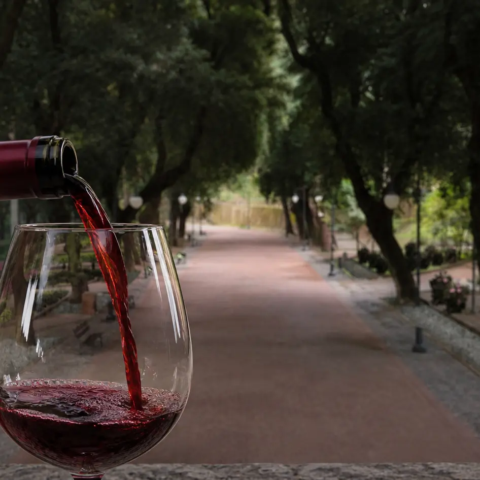 “Le Terre di Cosenza in Villa”, vino, olio e sapori protagonisti alla Villa Vecchia\n
