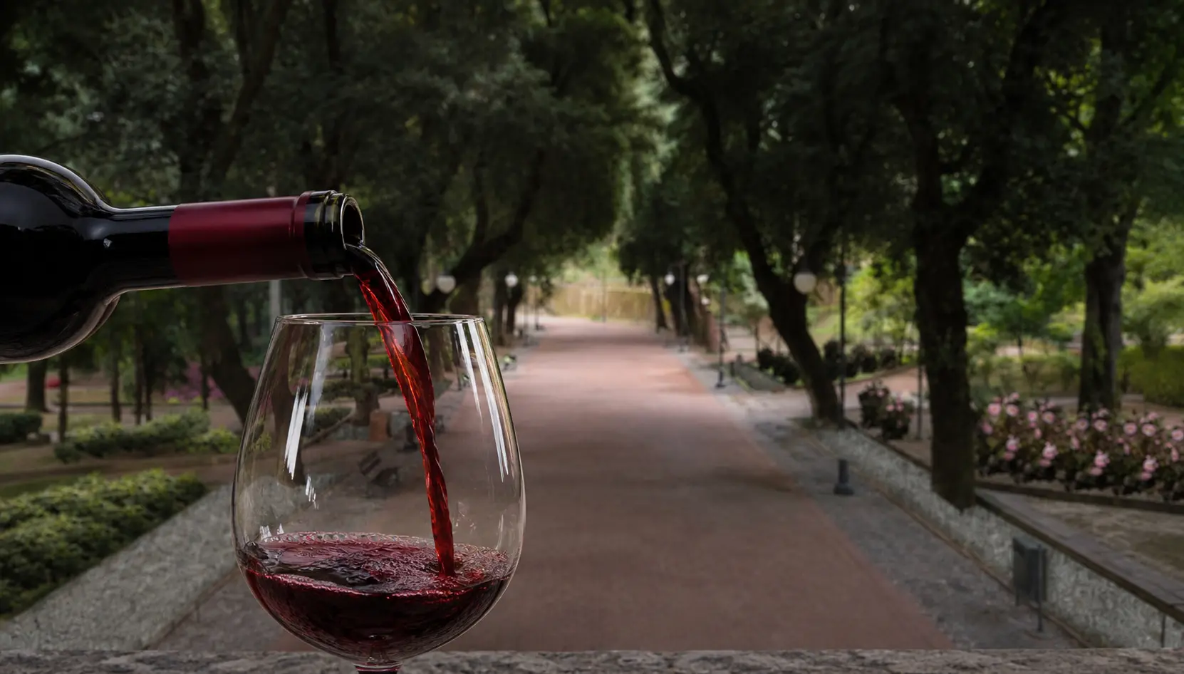 “Le Terre di Cosenza in Villa”, vino, olio e sapori protagonisti alla Villa Vecchia\n