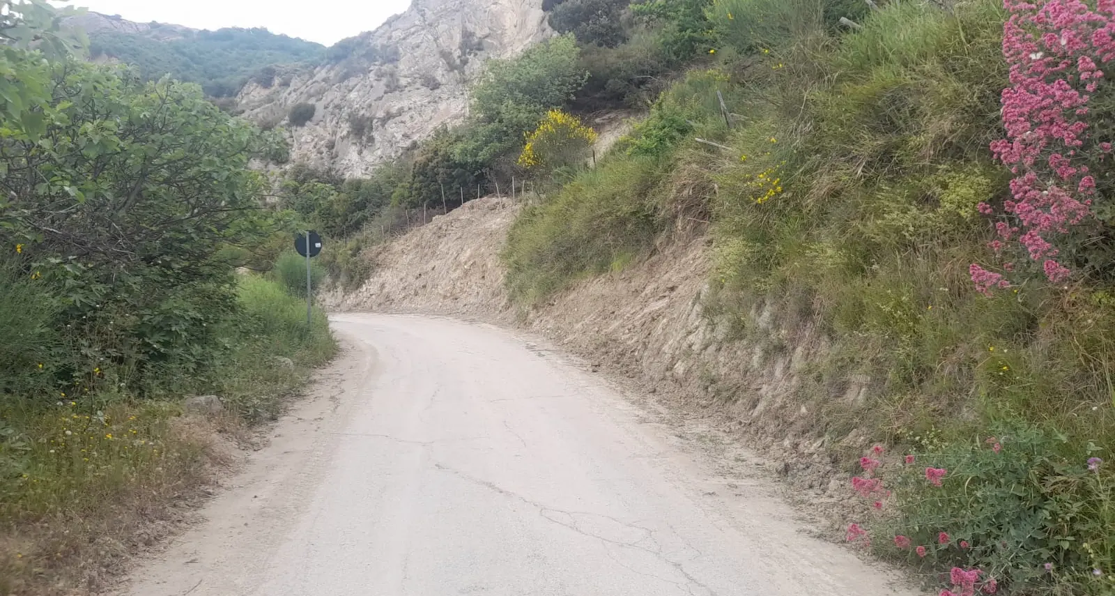 Frane nel Basso Ionio, riaperte due strade provinciali: tornano percorribili la Caloveto-Bocchigliero e la Terravecchia-Scala Coeli\n