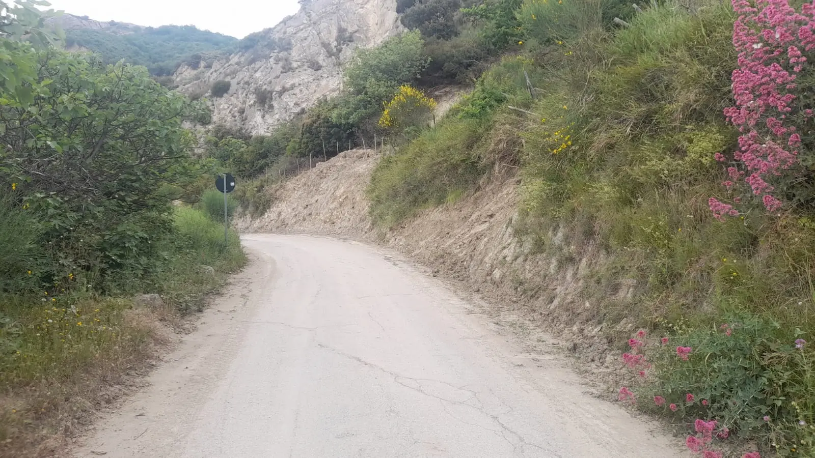 Frane nel Basso Ionio, riaperte due strade provinciali: tornano percorribili la Caloveto-Bocchigliero e la Terravecchia-Scala Coeli\n