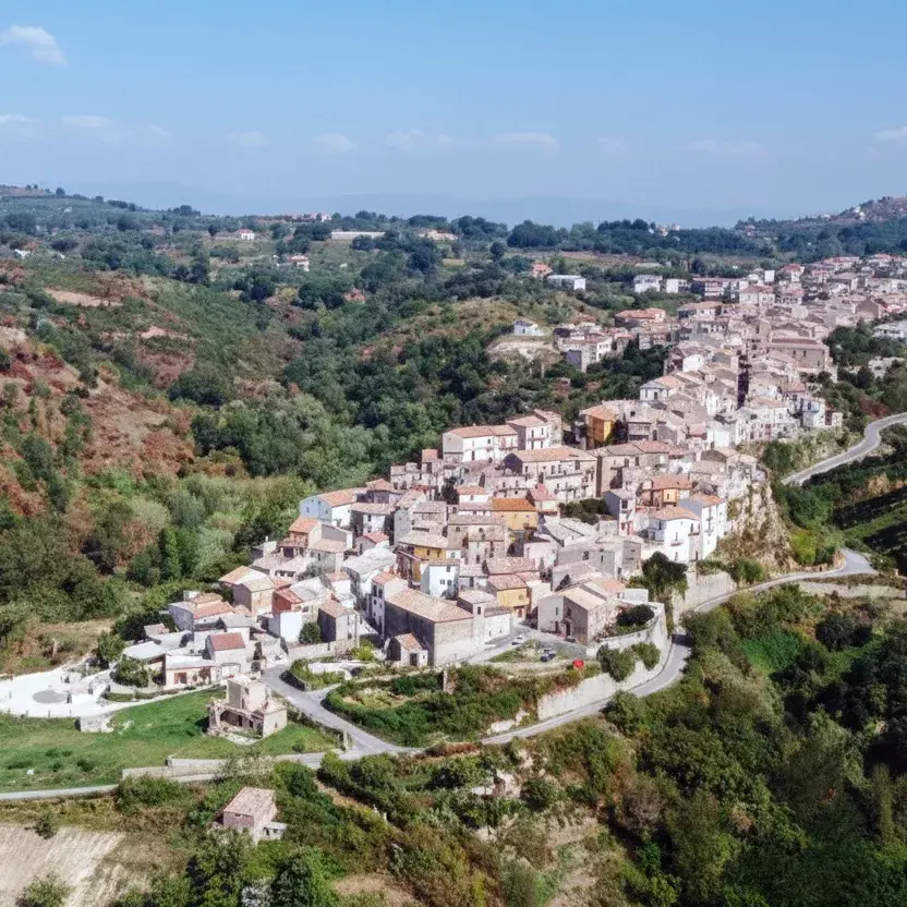 <p>Operaio muore sul lavoro a Francavilla Angitola, gru si ribalta e prende fuoco: tragedia nel cantiere del depuratore consortile</p>