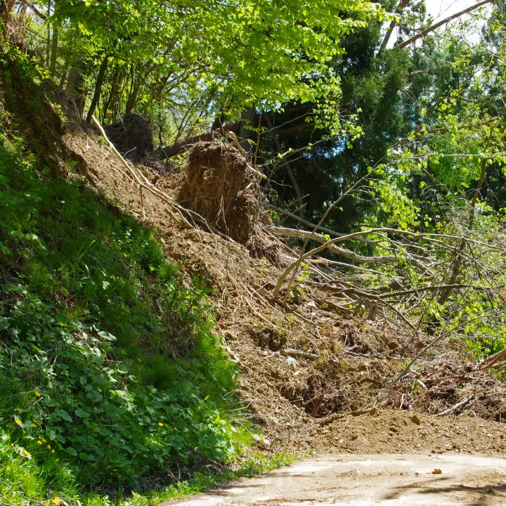 Dissesto idrogeologico,\u00A0nel Vibonese 27 milioni a 23 Comuni per\u00A0interventi su strade, scuole e fronti franosi: ecco tutti i beneficiari\n