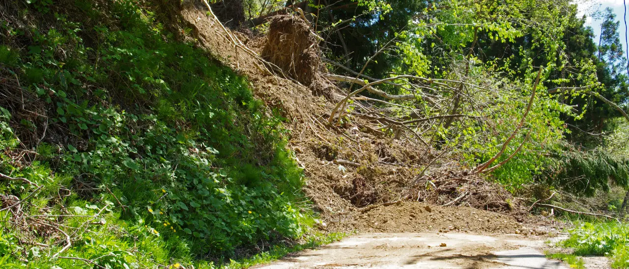 Dissesto idrogeologico,\u00A0nel Vibonese 27 milioni a 23 Comuni per\u00A0interventi su strade, scuole e fronti franosi: ecco tutti i beneficiari\n