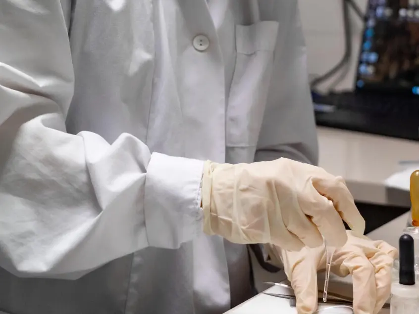 Hantavirus, rintracciato nel Reggino il passeggero calabrese del volo Klm: non ha sintomi ed era lontano dalla donna morta