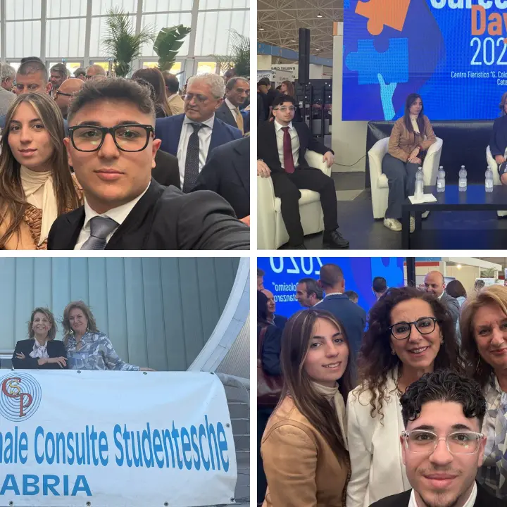 Formazione e lavoro, il Career Day di Catanzaro conquista le Consulte studentesche\n