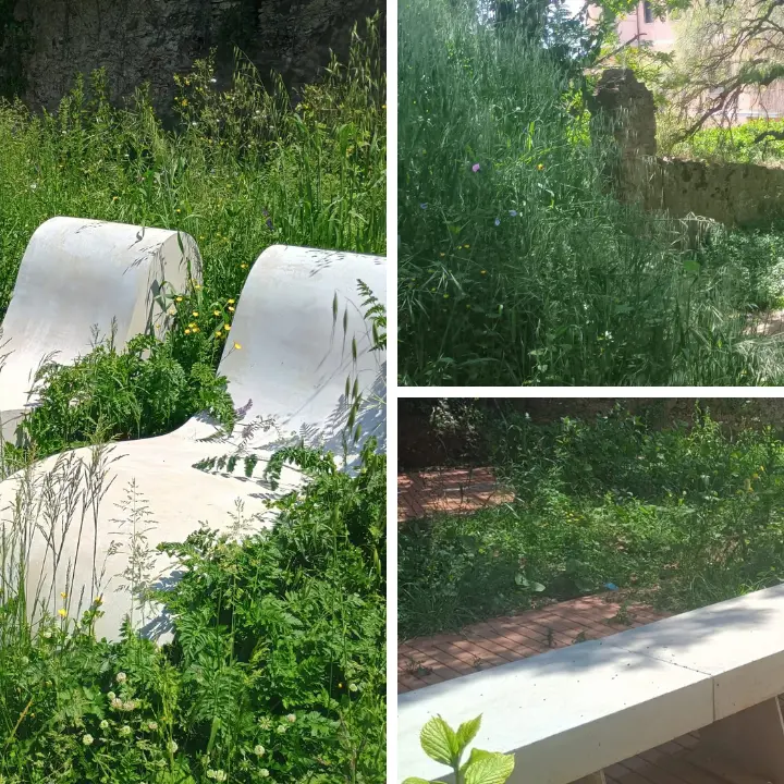 Vibo, in meno di un anno Villa Gagliardi è già soffocata dall’incuria: lo storico giardino è una giungla\n