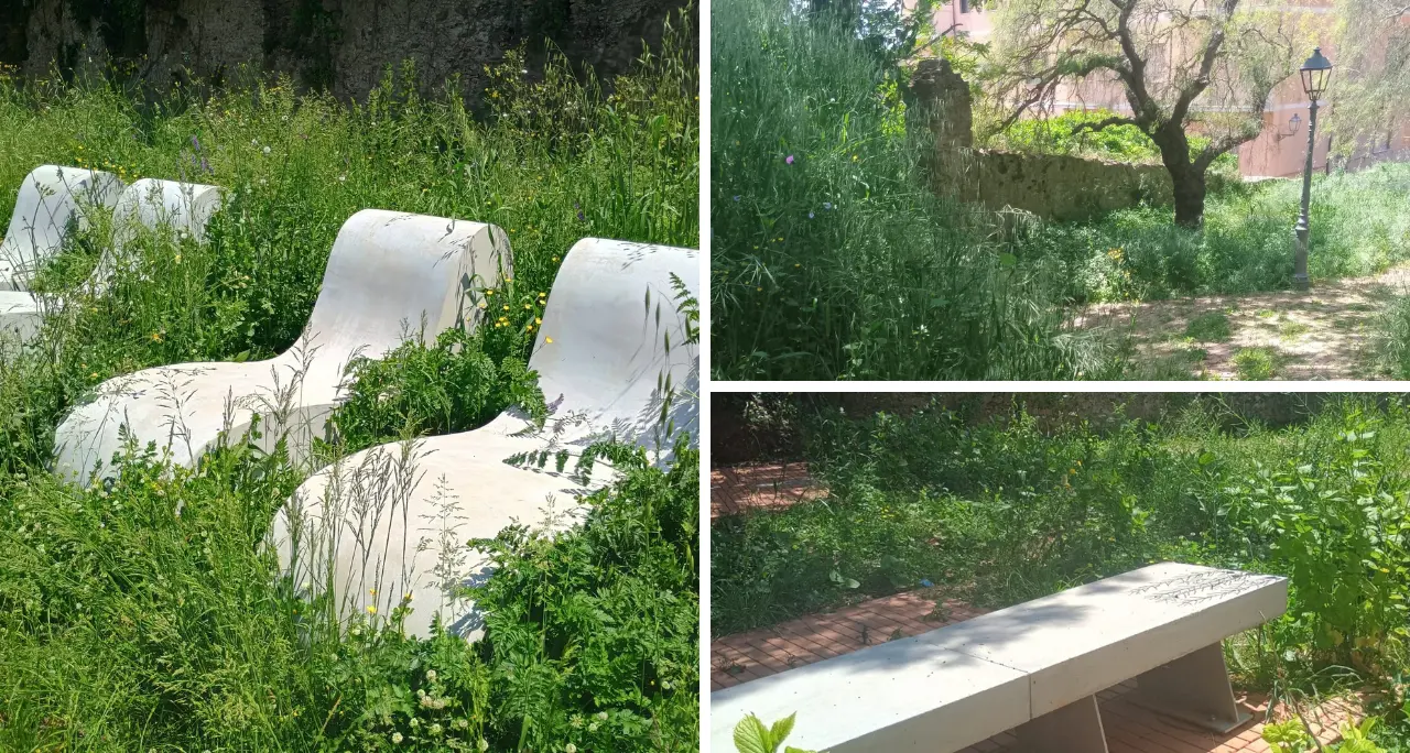 Vibo, in meno di un anno Villa Gagliardi è già soffocata dall’incuria: lo storico giardino è una giungla\n