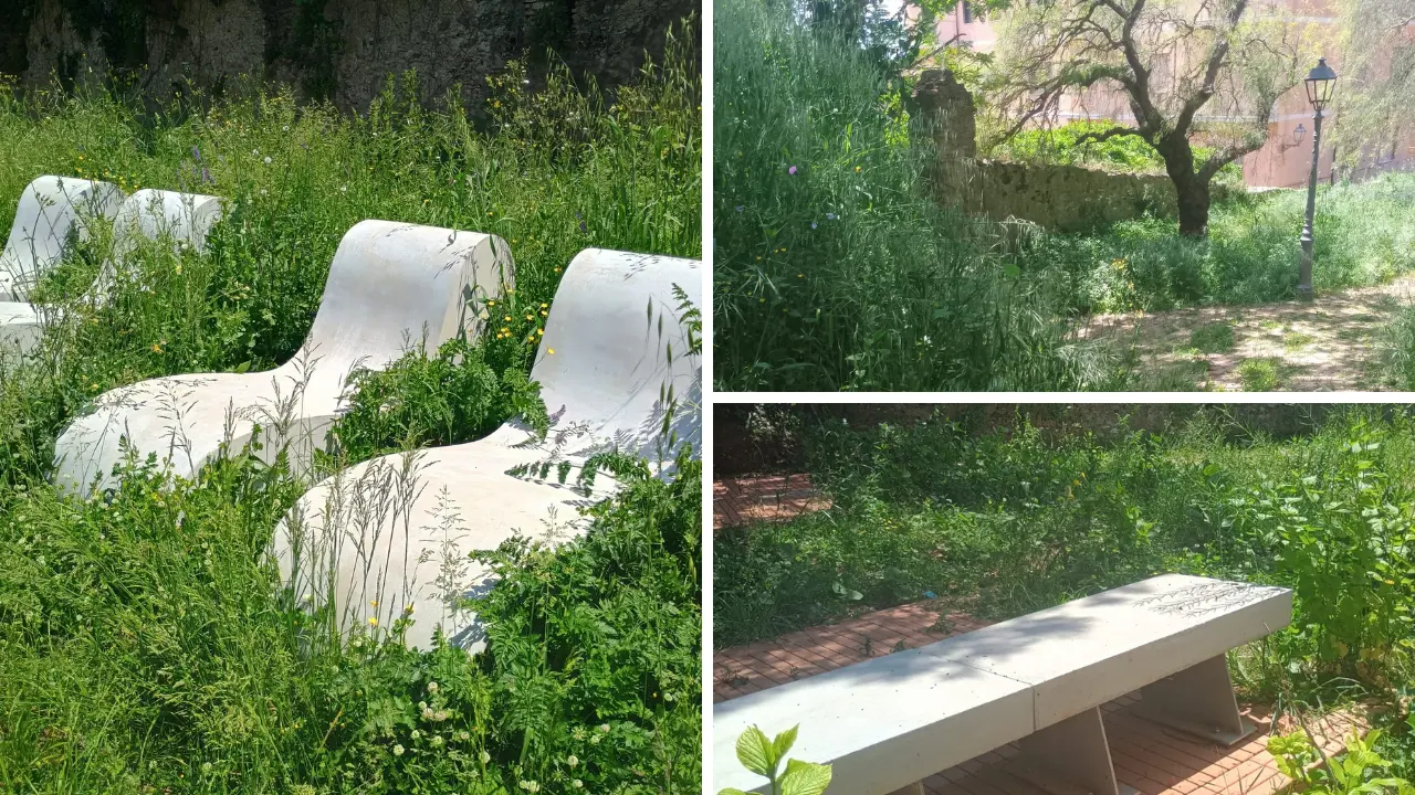 Vibo, in meno di un anno Villa Gagliardi è già soffocata dall’incuria: lo storico giardino è una giungla\n