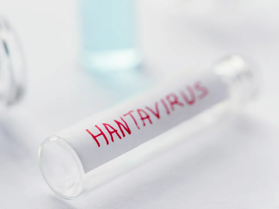 Hantavirus, è corsa al vaccino «ma non è un nuovo Covid». Risultato positivo un cittadino americano