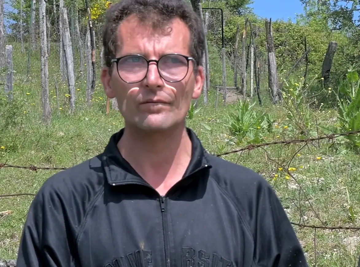 Campana, dietro il furto delle mucche di Giuseppe l’ombra delle ‘ndrine. La sorella Virgilia: «Chi le ha rubate conosceva la sua fragilità» | VIDEO