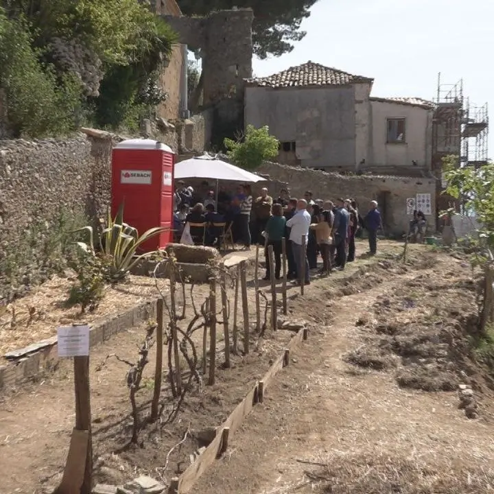 L’agricoltura sinergica sbarca a Vibo tra produzione consapevole e percorsi d’inclusione sociale\n
