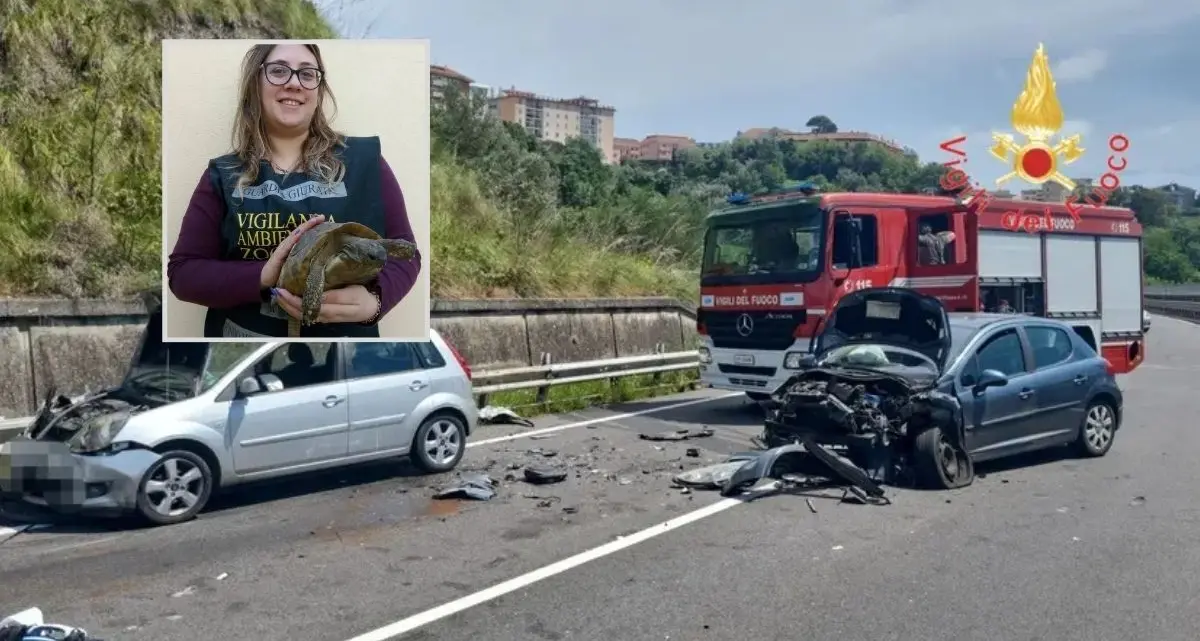 <p>Drammatico incidente sulla 109 a Catanzaro, <span style=\"color:hsl(0, 75%, 60%);\">una donna è morta </span>nello scontro fra tre auto</p>