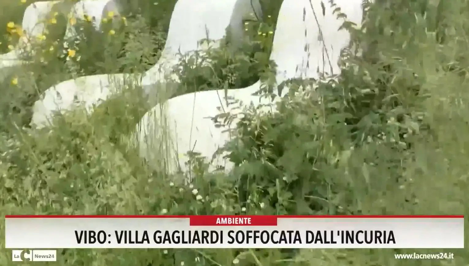 Vibo, villa Gagliardi soffocata dall'incuria