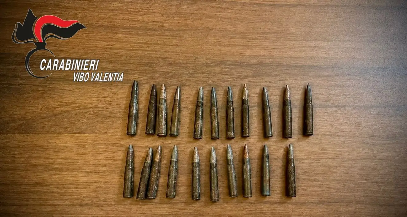 Fabrizia, trovate 21 cartucce nascoste tra la vegetazione: sequestro dei carabinieri in un’area demaniale\n
