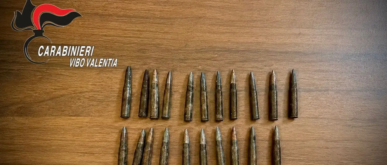 Fabrizia, trovate 21 cartucce nascoste tra la vegetazione: sequestro dei carabinieri in un’area demaniale\n