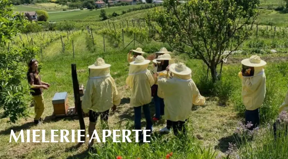 Mielerie aperte: anche in Calabria al via la giornata dedicata ai prodotti dell’alveare e agli apicoltori