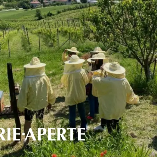 Mielerie aperte: anche in Calabria al via la giornata dedicata ai prodotti dell’alveare e agli apicoltori